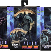 Aliens Classic Arcade 9 Inch Action Figure Arcade Alien Series - Set of 3 (Razor Claws - Chrysalis - Arachnoid)