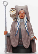 Star Wars Rebels 6 Inch Bust Statue 1/6 Scale - Ahsoka Tano