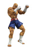 Street Fighter V 6 Inch Action Figure S.H. Figuarts - Sagat