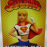 Superman Animated Series 6 Inch Bust Statue - Supergirl Bust